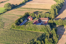 Aerial view of Leistenmühle on the Erlenbach in Kandel in the state Rhineland-Palatinate, Germany