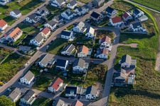Daffodil Path in Kandel in the state Rhineland-Palatinate, Germany from above