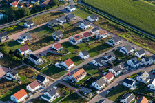 Aerial view of Sunflower Path in Kandel in the state Rhineland-Palatinate, Germany