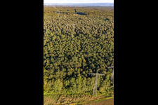 Oblique view of Wörth am Rhein in the state Rhineland-Palatinate, Germany