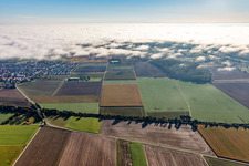 Pathway between winds and Steinweiler at the cloud edge in Steinweiler in the state Rhineland-Palatinate, Germany