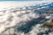 Wind farm at Minfeld partly in clouds in Minfeld in the state Rhineland-Palatinate, Germany
