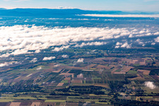 Wind farm near Freckenfeld in Hergersweiler in the state Rhineland-Palatinate, Germany