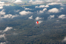 Paraglider over the Bienwald in the district Büchelberg in Wörth am Rhein in the state Rhineland-Palatinate, Germany