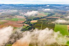 Horbachtal under autumn clouds from the east in the district Ingenheim in Billigheim-Ingenheim in the state Rhineland-Palatinate, Germany