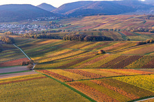 Aerial photograpy of Vineyards of the southern Wienstraße in autumn leaves in the district Klingen in Heuchelheim-Klingen in the state Rhineland-Palatinate, Germany