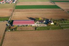 Bird's eye view of Equestrian center Fohlenhof in Steinweiler in the state Rhineland-Palatinate, Germany