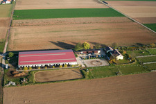 Drone recording of Equestrian center Fohlenhof in Steinweiler in the state Rhineland-Palatinate, Germany
