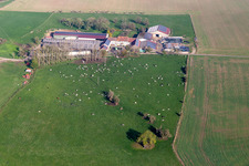 Karleskind Guy Farm in Gros-Réderching in the state Moselle, France