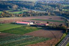 Chicken farm egg farm in Erlenbach bei Kandel in the state Rhineland-Palatinate, Germany out of the air