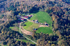 SV König Ludwig 1906 eV Lautzkirchen in the district Lautzkirchen in Blieskastel in the state Saarland, Germany