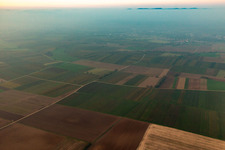 District Mühlhofen in Billigheim-Ingenheim in the state Rhineland-Palatinate, Germany from a drone