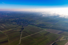 Bienwald under clouds in Dierbach in the state Rhineland-Palatinate, Germany