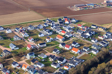 Violet Path, Daffodil Path in Kandel in the state Rhineland-Palatinate, Germany