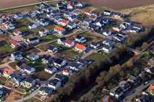 Tulip Path, Rose Path in Kandel in the state Rhineland-Palatinate, Germany