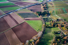 Aerial view of Pasture in Rohrbach in the state Rhineland-Palatinate, Germany