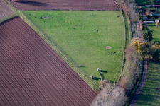 Aerial photograpy of Pasture in Rohrbach in the state Rhineland-Palatinate, Germany