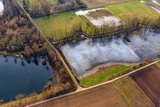 Frozen flooded meadows in Rülzheim in the state Rhineland-Palatinate, Germany