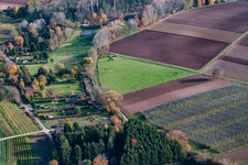 Pasture in Rohrbach in the state Rhineland-Palatinate, Germany from above