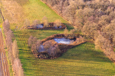 Biotope at Altbach in the district Minderslachen in Kandel in the state Rhineland-Palatinate, Germany