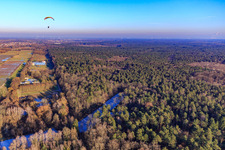 Frozen fish ponds on the edge of the Bienwald in Steinfeld in the state Rhineland-Palatinate, Germany