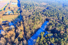 Aerial photograpy of Frozen fish ponds on the edge of the Bienwald in Steinfeld in the state Rhineland-Palatinate, Germany