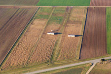 Mobile chicken coops in Offenbach an der Queich in the state Rhineland-Palatinate, Germany