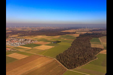 View of the town from the west in Steinweiler in the state Rhineland-Palatinate, Germany