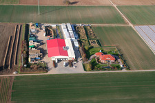 Vegetable cultivation - Dieter Stubenbordt in Zeiskam in the state Rhineland-Palatinate, Germany from the plane