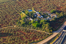 Hacienda nueva del Rosario between olive tree plantations in Dos Hermanas in the state Seville, Spain
