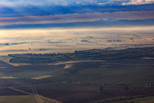 Olive tree plantations in the morning mist in Alcalá de Guadaíra in the state Seville, Spain