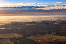 Aerial view of Olive tree plantations in the morning mist in Alcalá de Guadaíra in the state Seville, Spain