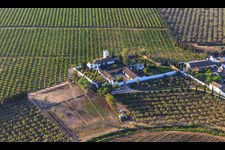 Aerial view of Hacienda de Clarevot between olive tree plantations in Alcalá de Guadaíra in the state Seville, Spain