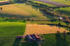 Mowed meadows with hay bales at a farm in Rexingen in the state Bas-Rhin, France
