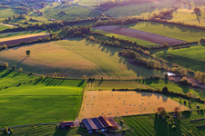 Aerial view of Mowed meadows with hay bales at a farm in Rexingen in the state Bas-Rhin, France