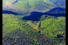 Aerial view of CHÂTEAU DU HUNEBOURG from the east in Dossenheim-sur-Zinsel in the state Bas-Rhin, France
