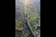 Aerial photograpy of Fish ponds at Meisenbach in Sparsbach in the state Bas-Rhin, France