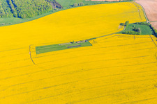 Model airfield in a blooming rapeseed field in Gros-Réderching in the state Moselle, France