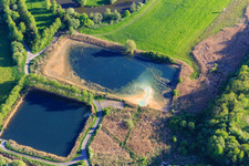 Basin on the Saar floodplain meadows in Willerwald in the state Moselle, France