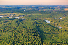 Forest in front of Lake Mittersheim from the west in Mittersheim in the state Moselle, France