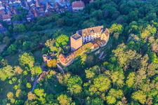 Castle and castle park Gamburg in the district Gamburg in Werbach in the state Baden-Wuerttemberg, Germany from above