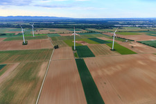 Wind farm Minfeld in Minfeld in the state Rhineland-Palatinate, Germany seen from above