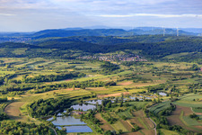 Fish pond on the side stream in Ettenheim in the state Baden-Wuerttemberg, Germany
