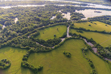 Taubergiessen nature reserve between the Rhine meadows and the Rhine in the district Rheinau in Ortenaukreis in the state Baden-Wuerttemberg, Germany