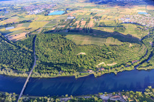 Limberg am Rhein landscape conservation area in Sasbach am Kaiserstuhl in the state Baden-Wuerttemberg, Germany