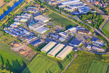 Industrial area Im Kleinfeldele with Götz + Moriz GmbH - building materials, Herbert Hipp Verpackungs GmbH and Holzhack-Willmann in Riegel am Kaiserstuhl in the state Baden-Wuerttemberg, Germany