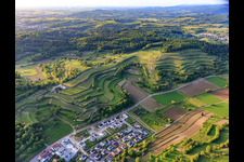 Aerial view of Terraced vineyards in Malterdingen in the state Baden-Wuerttemberg, Germany