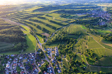 Terraced vineyards in the district Bombach in Kenzingen in the state Baden-Wuerttemberg, Germany
