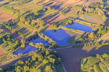 Fish ponds in the district Ettenheimweiler in Ettenheim in the state Baden-Wuerttemberg, Germany