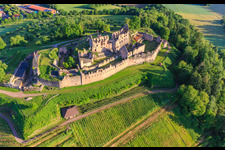 Fortress ruins Hochburg near Emmendingen from the east in the district Windenreute in Emmendingen in the state Baden-Wuerttemberg, Germany from above